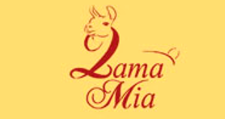 Интернет-магазин «Ламамиа»
