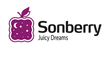 Интернет-магазин «Sonberry»