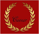 Изготовление мебели на заказ «Цезарь»