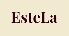 Розничный поставщик комплектующих «EsteLa»