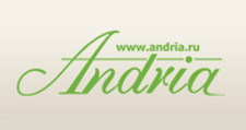 Розничный поставщик комплектующих «Andria»