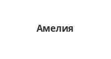 Изготовление мебели на заказ «Амелия»