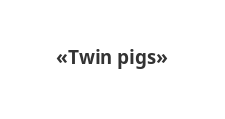 Салон мебели «Twin pigs»