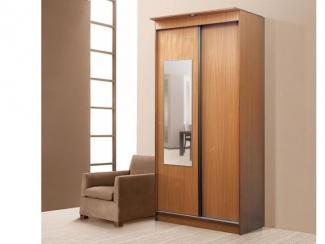 Шкаф-купе 2-х дверный для одежды и белья Мираж-1 - Мебельная фабрика «Фант Мебель»