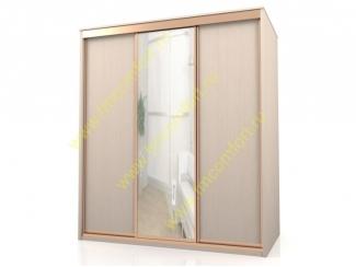 Шкаф-купе 3 створки с зеркалом Отличный - Мебельная фабрика «Комфорт»