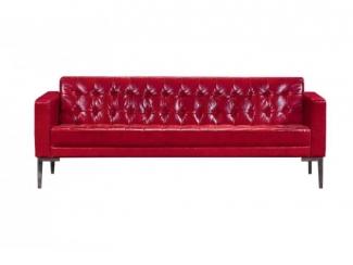Яркий диван на ножках Баден - Мебельная фабрика «Грин Лайн Мебель»