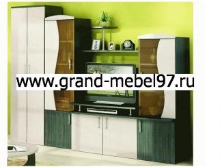 Гостиная 019 - Мебельная фабрика «Гранд Мебель 97»