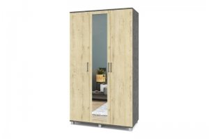 Шкаф с зеркалом Ева Е31 - Мебельная фабрика «Модерн»