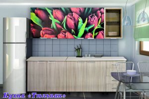 Кухня прямая Тюльпаны - Мебельная фабрика «Колибри»