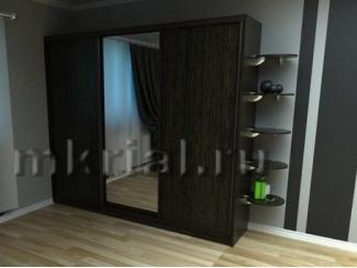 Темный шкаф-купе Вариант 10 - Мебельная фабрика «Риал»