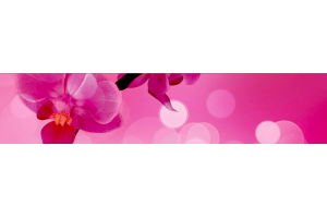 Фартук кухонный Архидивные Орхидеи 51 - Оптовый поставщик комплектующих «Московская Зеркальная Фабрика»