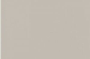 Фасад МДФ Светло-серый высокий глянец - Оптовый поставщик комплектующих «Ирбис»