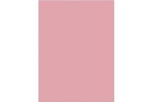 Фасад RAL 3015 Светло-розовый - Оптовый поставщик комплектующих «Екафасад»