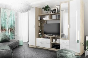 Гостиная модульная система Софи - Мебельная фабрика «ДСВ-Мебель»