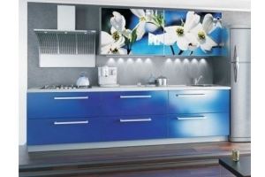 Кухня синяя с фотопечатью 0103 - Мебельная фабрика «La Ko Sta»