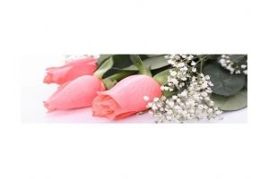 Кухонный фартук-Цветы(Розовые розы) - Оптовый поставщик комплектующих «Премиум Стекло»
