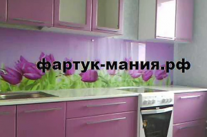 Кухонный фартук с фотопечатью 16 - Оптовый поставщик комплектующих «Фартук-Мания»
