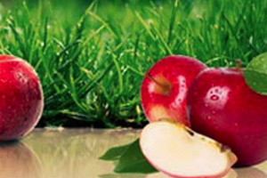 Кухонный фартук skin-fruit 3 - Оптовый поставщик комплектующих «ПРОМСТЕКЛО»