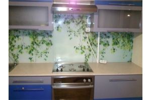 Кухонный стеклянный фартук с фотопечатью Береза - Оптовый поставщик комплектующих «Отражение»