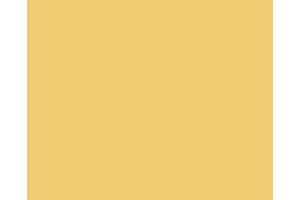 Ламинированная плита ЖЕЛТЫЙ НАРЦИСС 1644 - Оптовый поставщик комплектующих «Невский Ламинат»