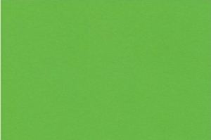 ЛДСП Кроношпан - Однотонные декоры 7190 BS Зеленая Мамба - Оптовый поставщик комплектующих «Дизайн-Колор»