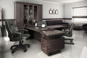 Мебель в кабинет Донтер - Мебельная фабрика «Астмебель»
