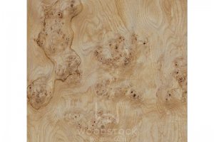 Натуральный шпон Дуб корень Oak Burl - Оптовый поставщик комплектующих «Woodstock»