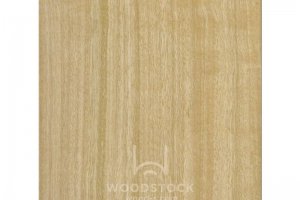 Натуральный шпон Эвкалипт Eucalyptus - Оптовый поставщик комплектующих «Woodstock»