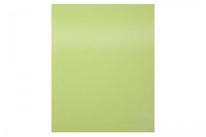 Пластик HPL 4009 HG Нежно-зеленый