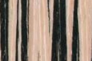Пластик HPL ABET LAMINATI Abet Wood 1702 - Оптовый поставщик комплектующих «Евростиль»