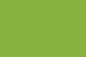 Пластик Однотонный (монохромный) Зеленая трава  LM 0020 - Оптовый поставщик комплектующих «Лемарк»