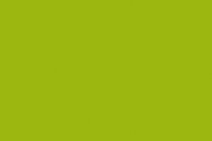 Пластик Однотонный (монохромный) Зелено-желтый лайм  LM 0016 - Оптовый поставщик комплектующих «Лемарк»