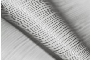 Пленка ПВХ Тик белый с серебром - Оптовый поставщик комплектующих «БЕЛКРАФТ»