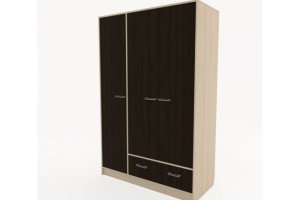 Шкаф для одежды ШФ-3-1 - Мебельная фабрика «Мастер Дом»