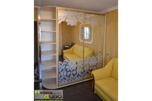 Шкаф-купе в комнату - Мебельная фабрика «ДИВО»