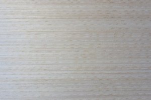 Шпон Бук белый 99QW - Оптовый поставщик комплектующих «Тимохины Деревяшки»