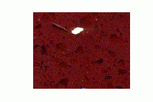 Столешница из кварцевого камня Samsung Radianz SALINA-RED-SR461