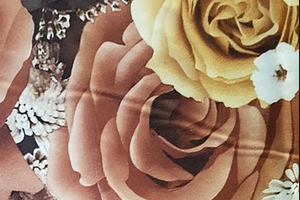 Ткань велюр с принтом Роза микс желтая - Оптовый поставщик комплектующих «АТЕКС (Айрат)»