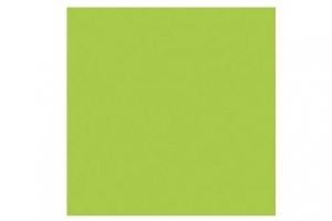 Зеленый лайм ST9 ЛДСП EGGER - Оптовый поставщик комплектующих «МЕБЕЛЬ GROUP»