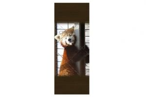 Фотопечать на стекло для шкафа-купе Животные, птицы, рептилии 24 - Оптовый поставщик комплектующих «Стекло-Гарант»